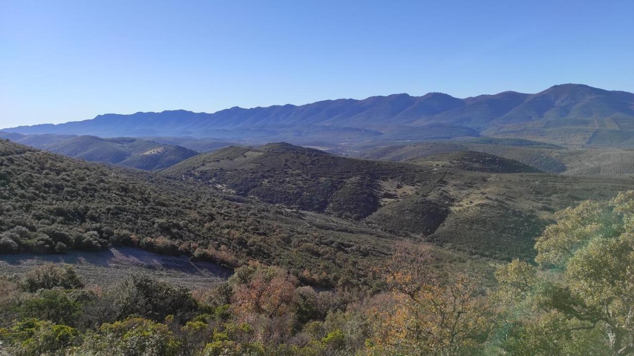 La Colmena Del Geoparque Tr -cc 00489